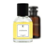 20% Öl DUFTZWILLINGE - Kazaar